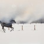 Gallopierender schwarzer Gaul in verschneiter Koppel